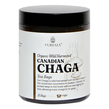 Canadian Chaga Tea Bags | Chaga Tea Bags | Puresia