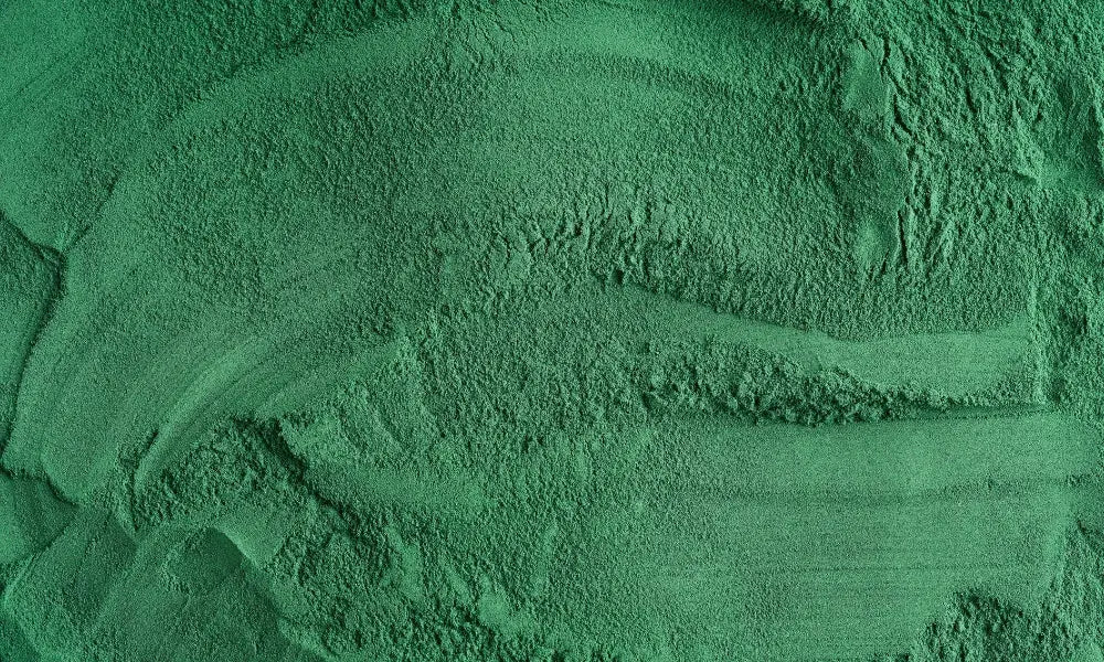 Spirulina in powder form