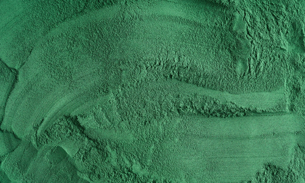 Spirulina in powder form