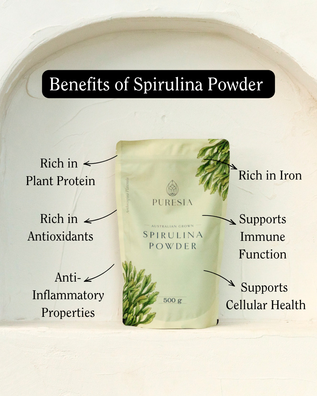 1kg Australian Spirulina Powder Puresia