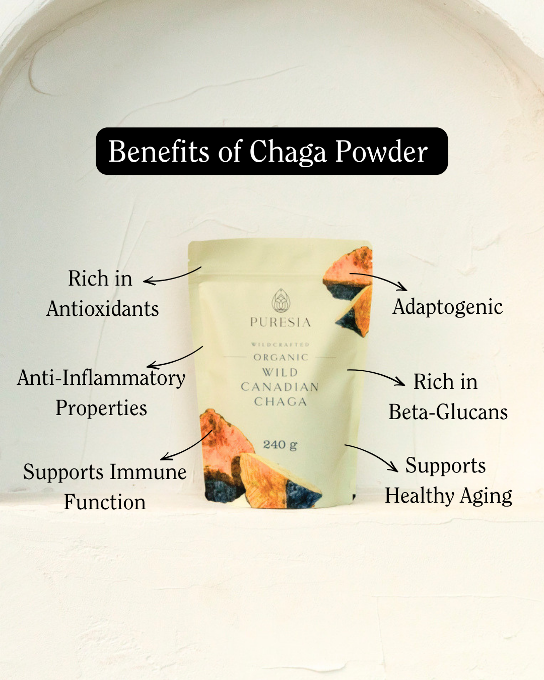 240g Organic Wild Harvested Canadian Chaga Powder Puresia