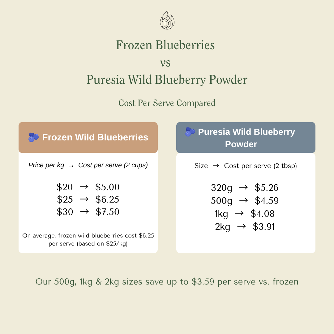 320G Organic Wild Blueberry Powder Puresia