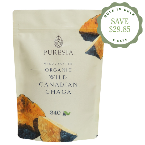 480g Organic Wild Harvested Canadian Chaga Powder Puresia