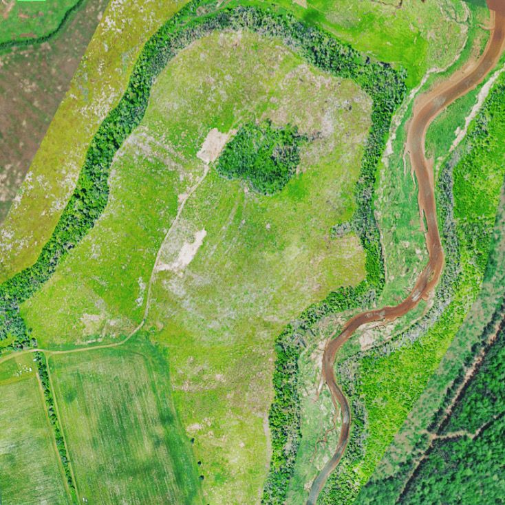 Aerial shot of the fields where the berries grow