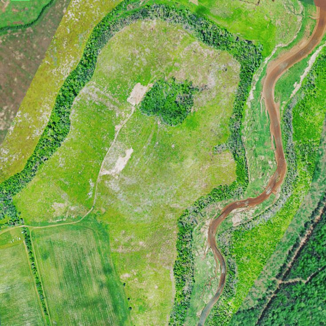 Aerial shot of the fields where the berries grow